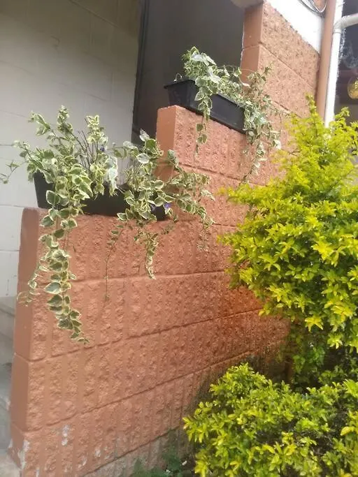 Hermoso Apartamento Para Estrenar Apartment Medellin